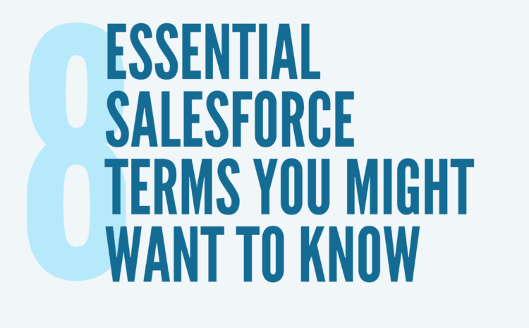 08 Essential Salesforce Terms you might want to know   